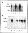 Fig. (2)