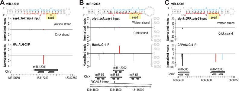 Figure 5.