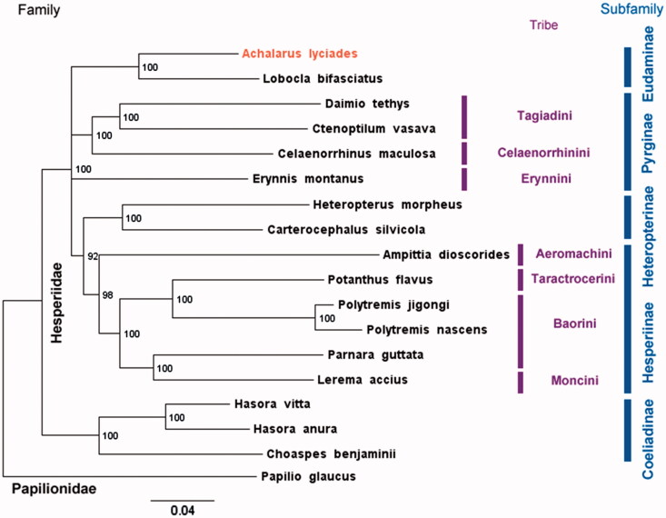 Figure 1.