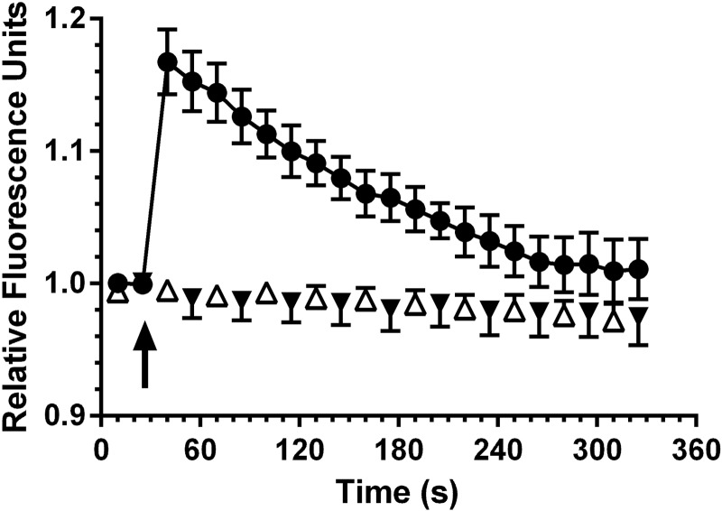 Fig. 7.