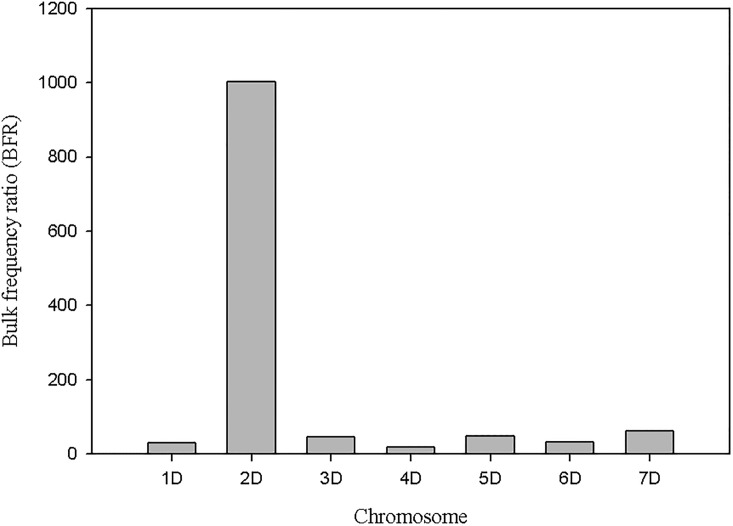 Fig 5