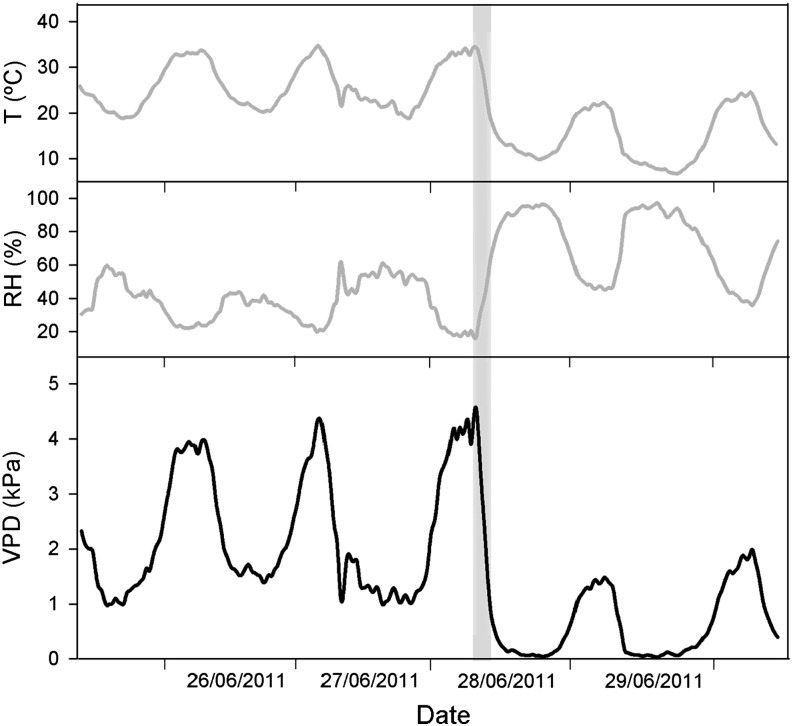 Figure 7.