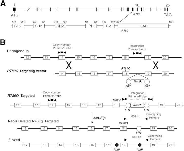 Figure 1