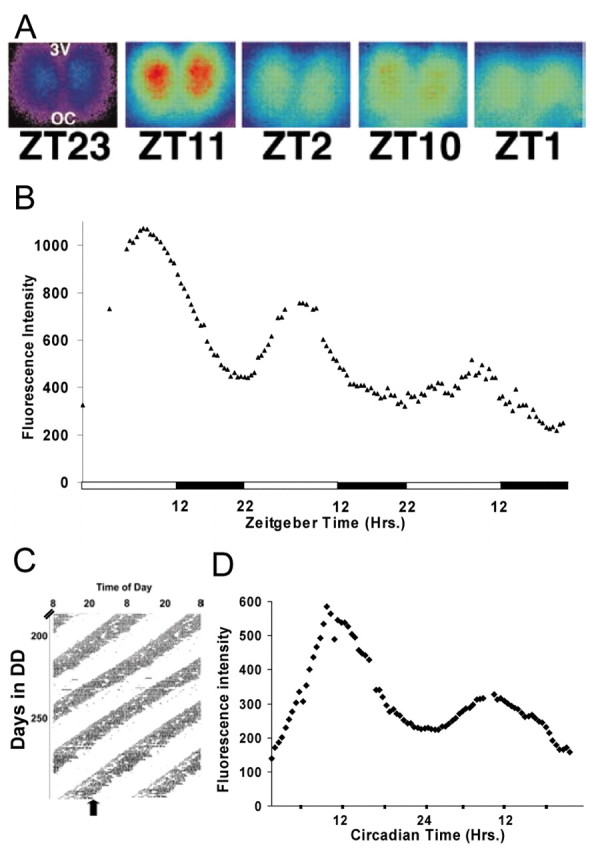 Figure 1.