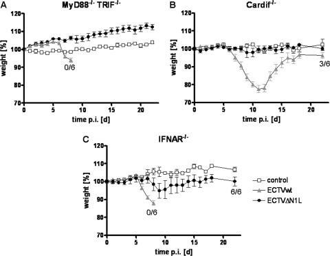 FIG. 6.