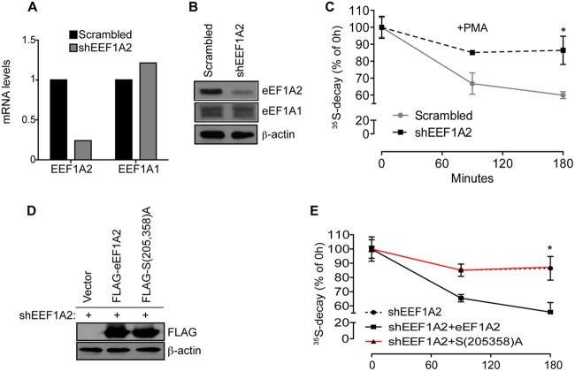 Fig 9