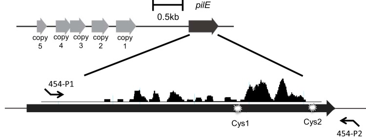 FIG 2