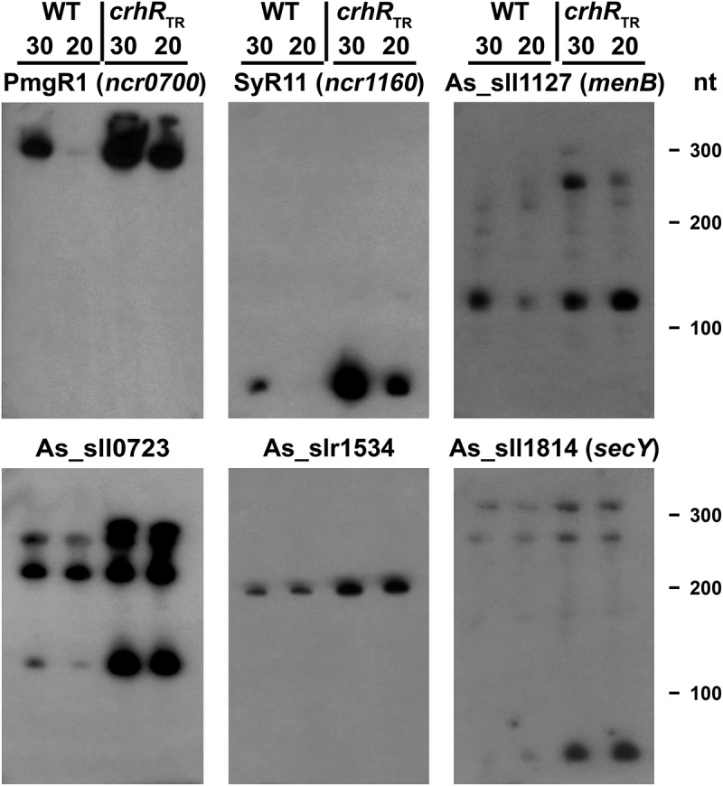 Figure 3.