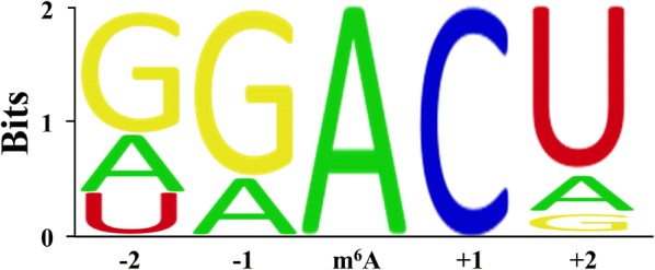 Fig. 2
