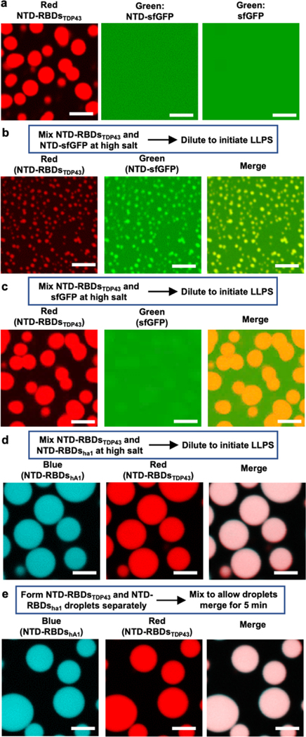 Figure 4 |