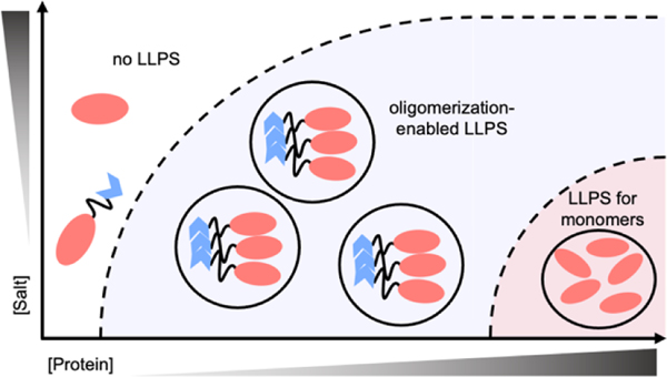 Figure 6 |