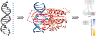Graphical Abstract