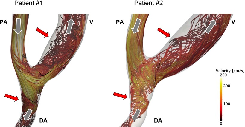 Figure 2.