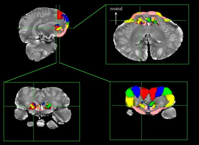 Figure 4.