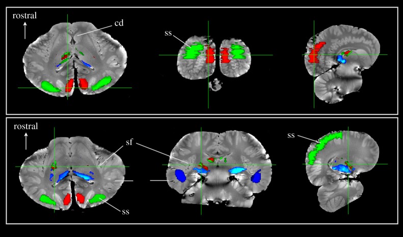 Figure 2.