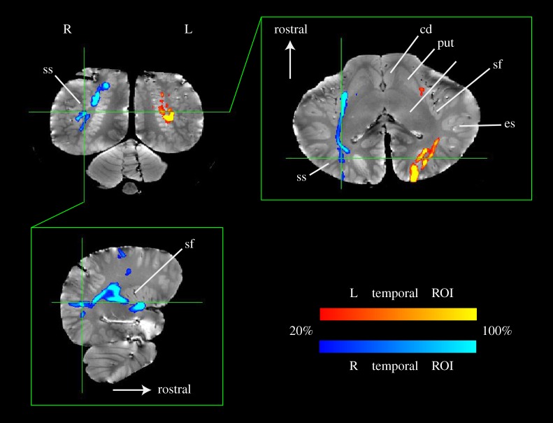 Figure 3.