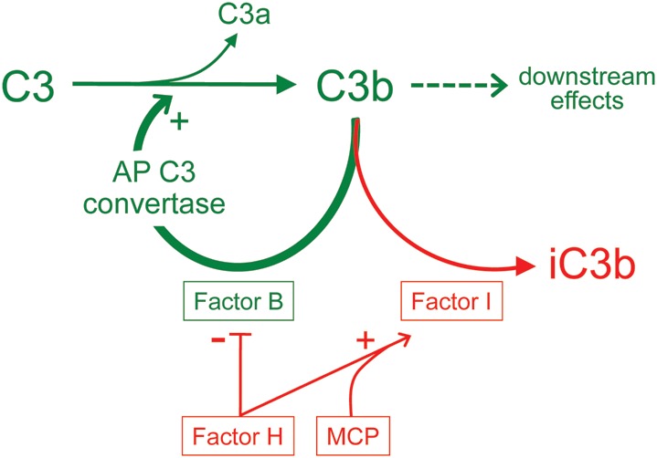 Fig. 2.