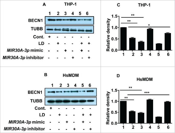 Figure 10.