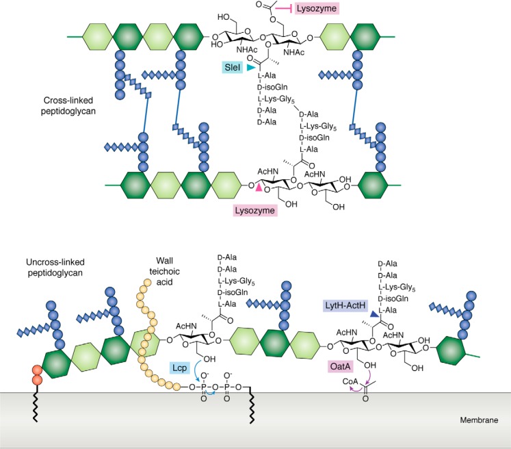 Figure 6.