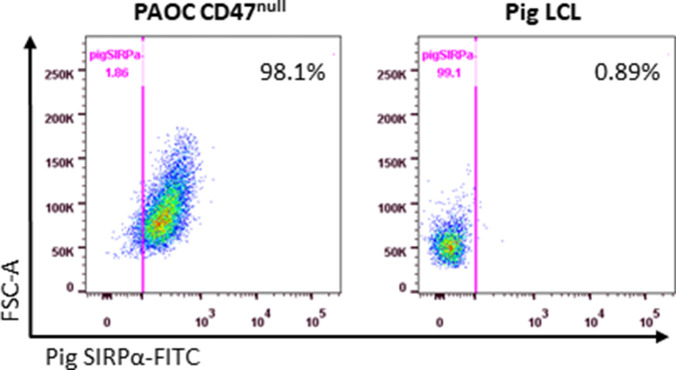 Figure 1—figure supplement 2.