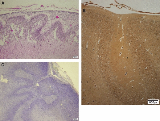 Fig. 7