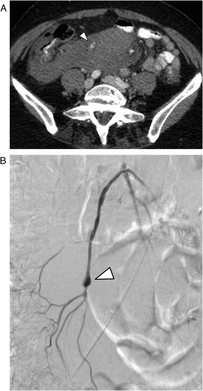 Fig. 5