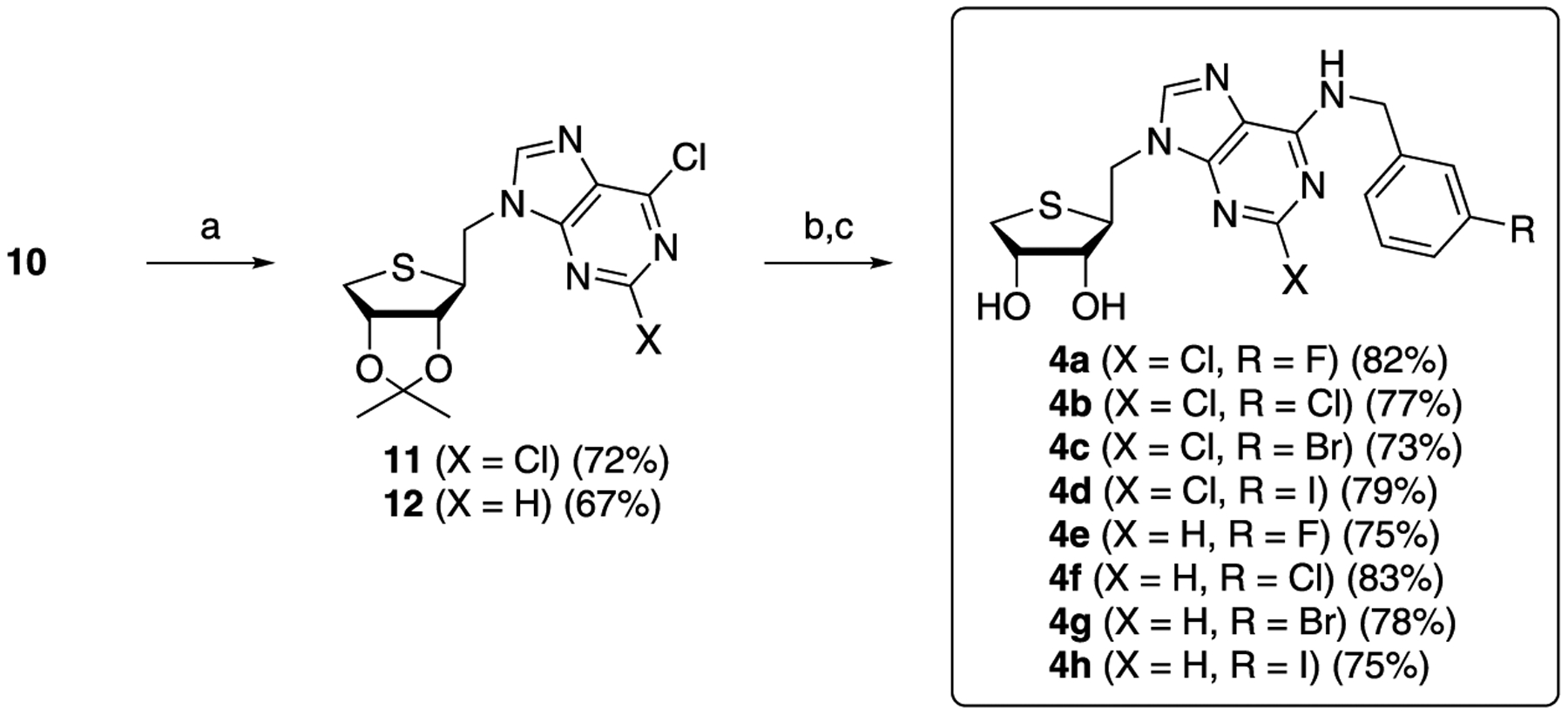 Scheme 2.