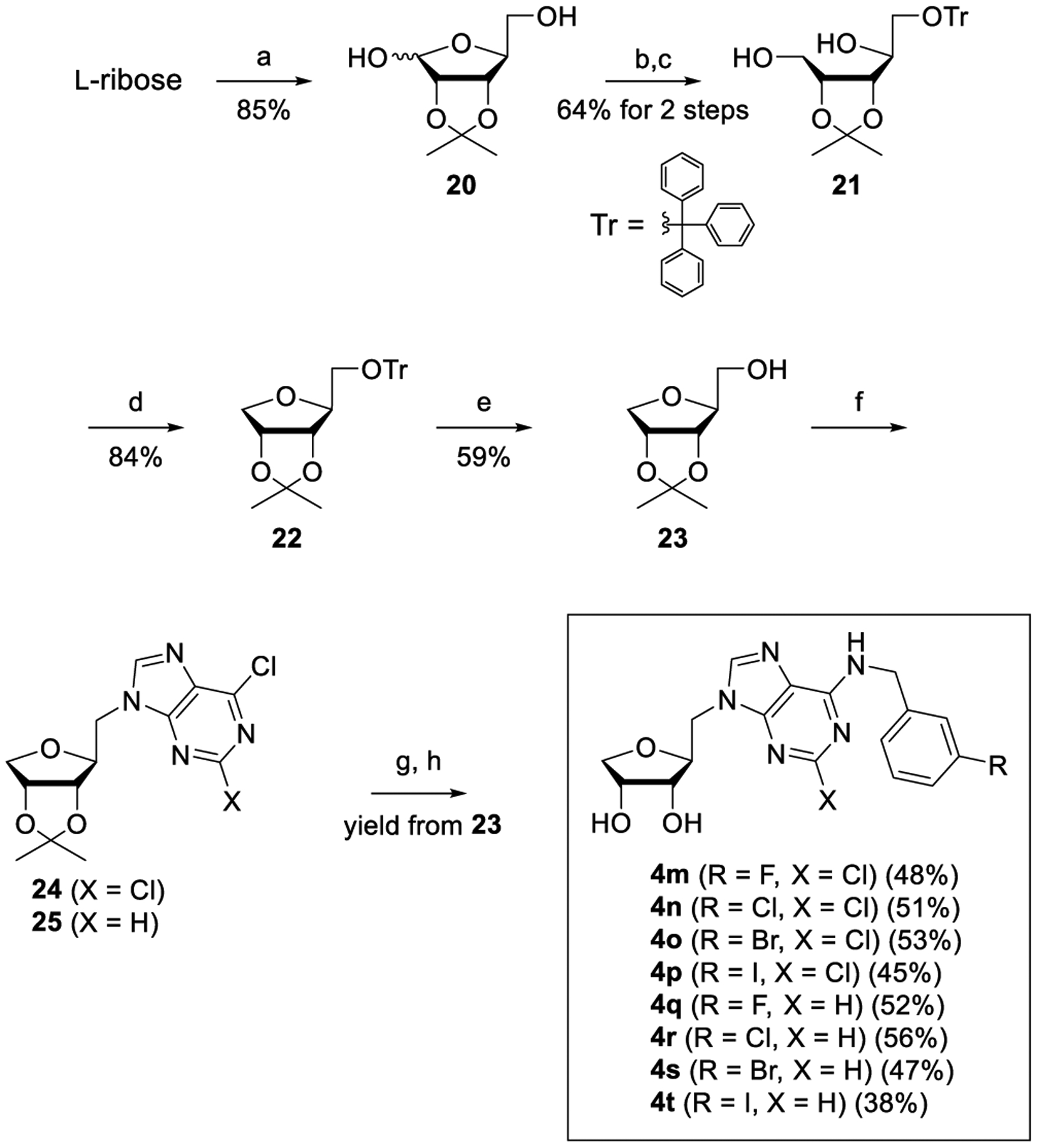 Scheme 5.