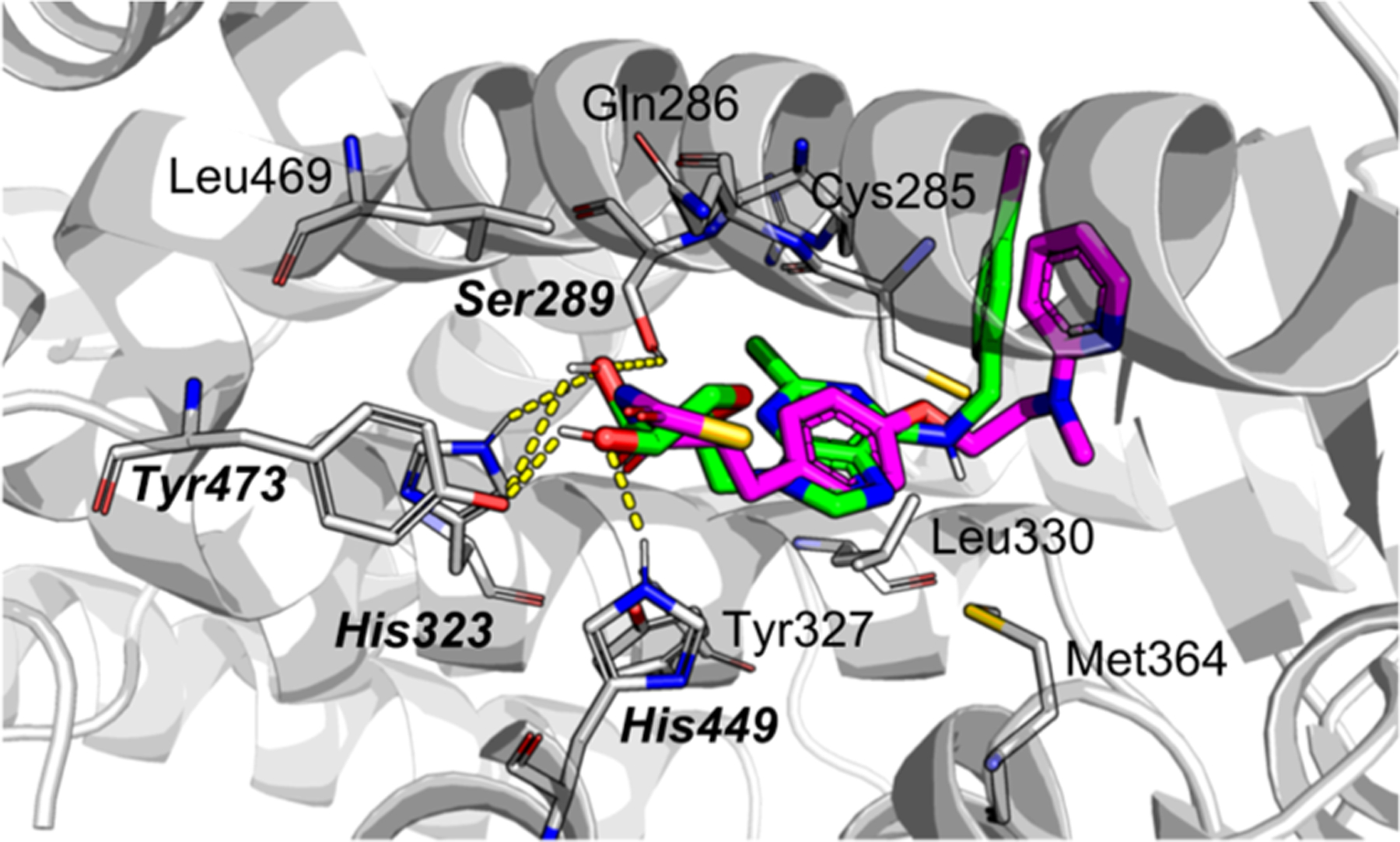 Figure 1.