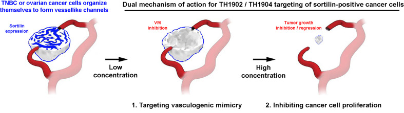 Figure 10