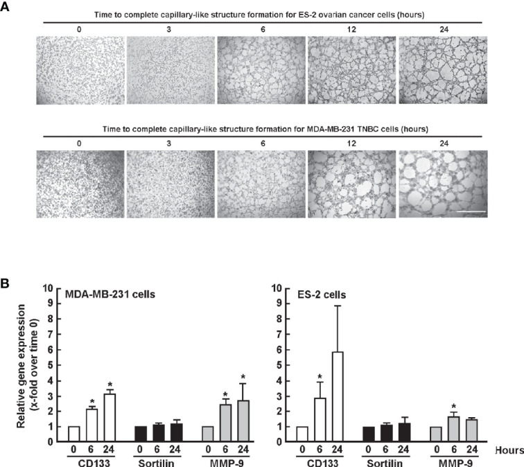 Figure 2