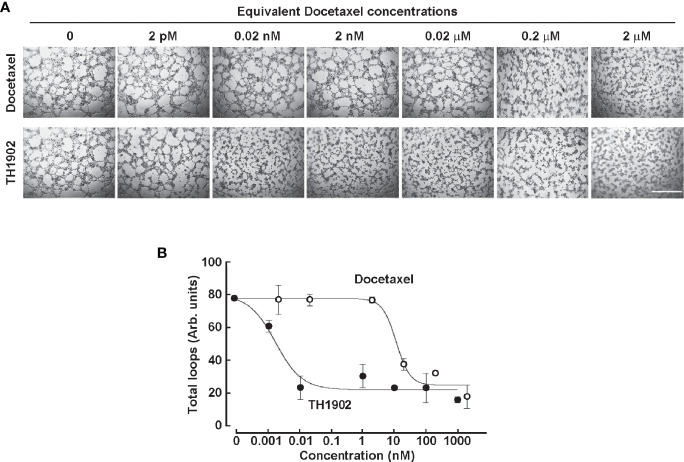 Figure 6