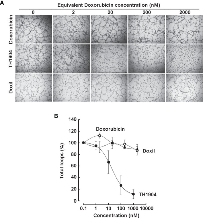 Figure 5