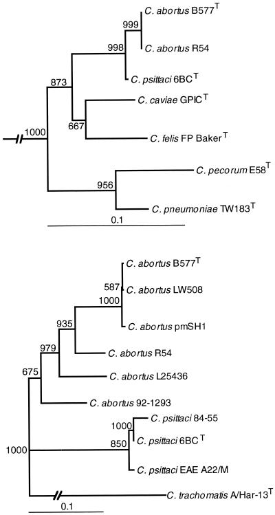 FIG. 1