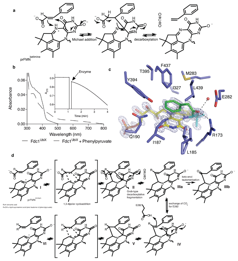 Fig 4