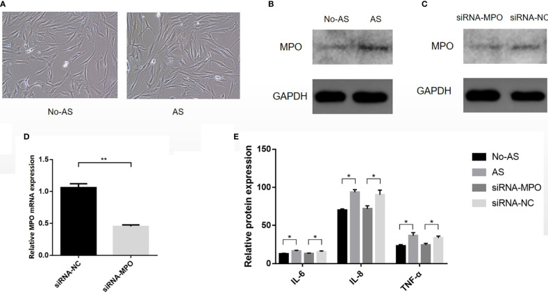 Figure 10