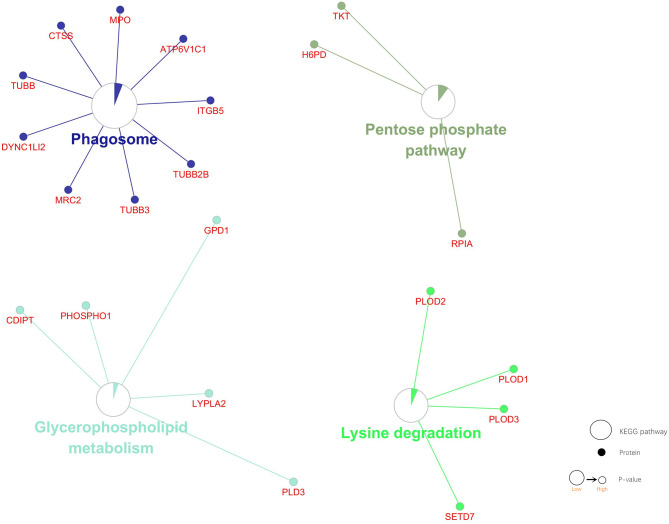 Figure 5