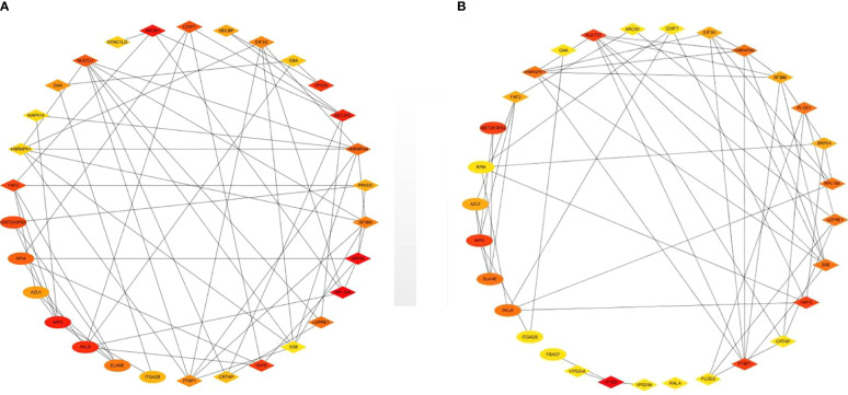 Figure 7