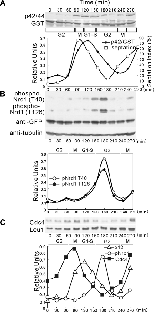 Figure 9.