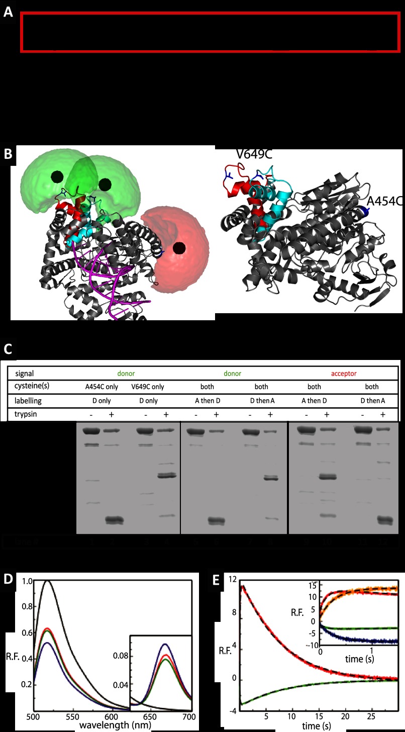 FIGURE 1.