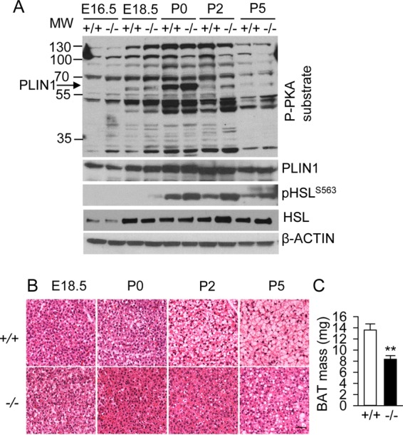 FIG 7