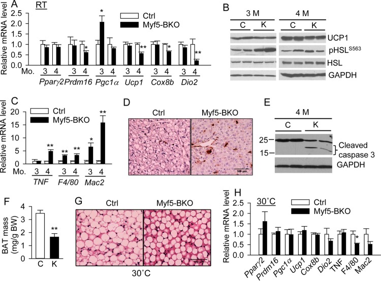 FIG 10