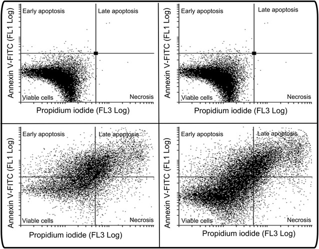 Fig. 6