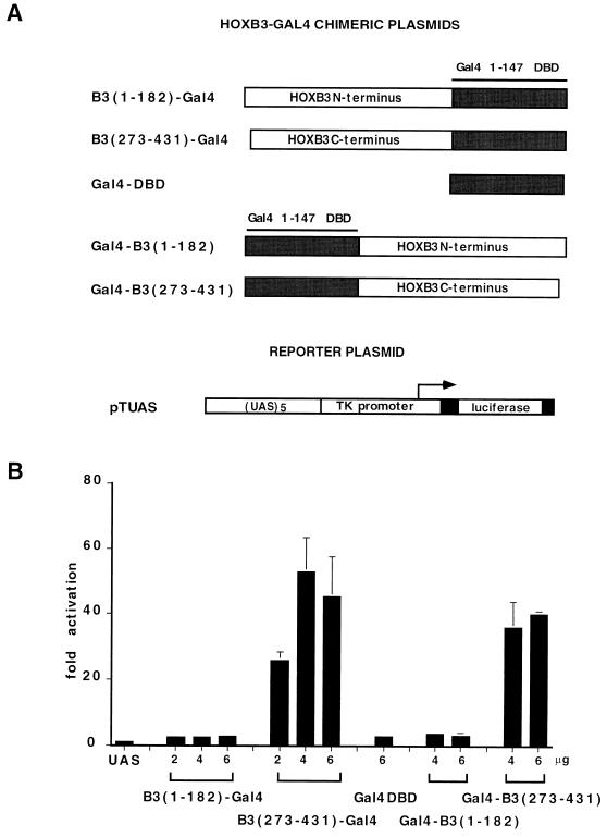 FIG. 8