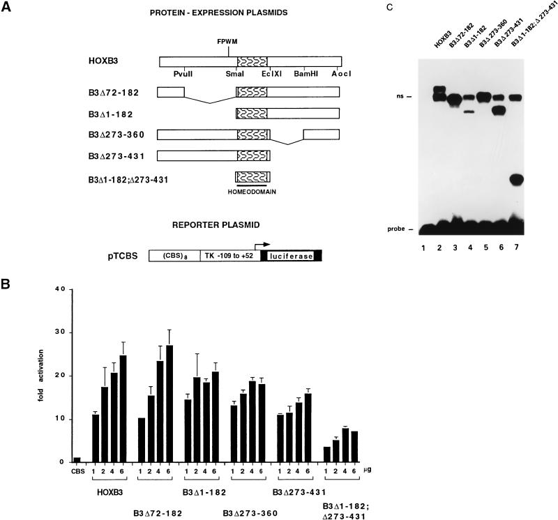 FIG. 7