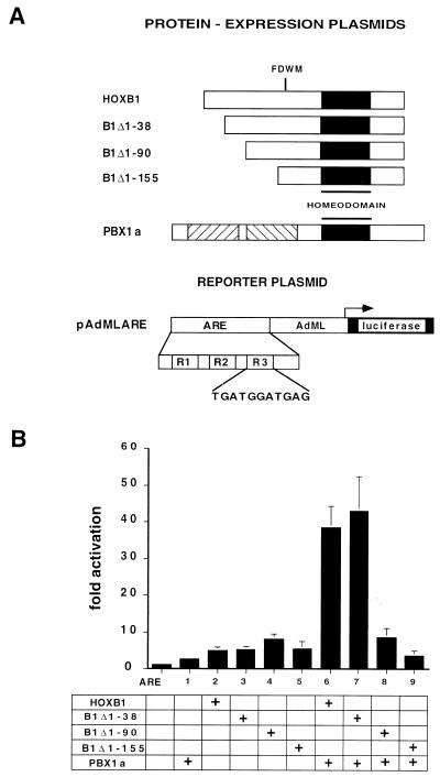 FIG. 4