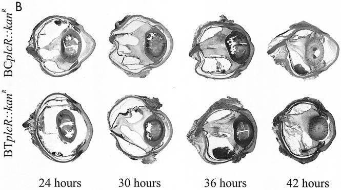 FIG. 5.