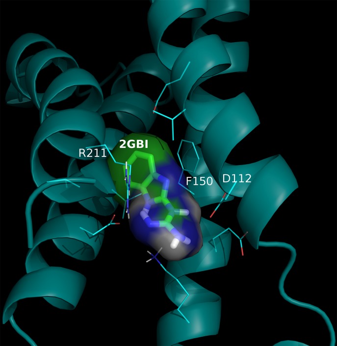 Fig. 1.