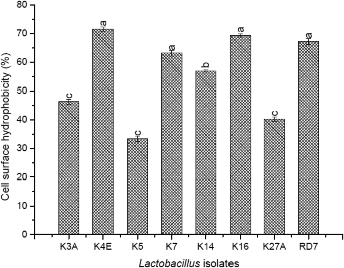 Fig. 8