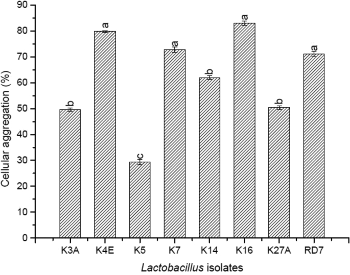 Fig. 9